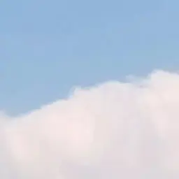 Profile image of 한늑대