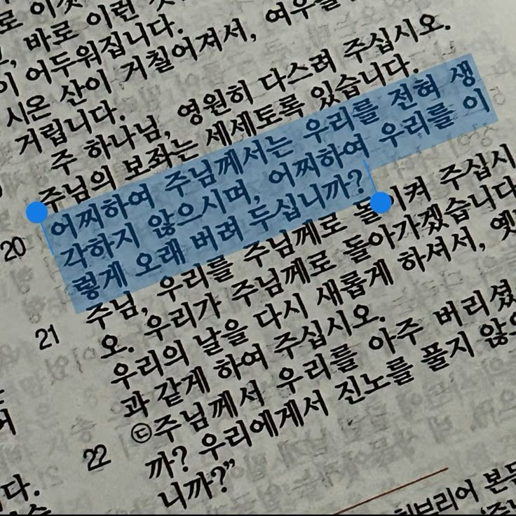 포세이큰 드라이브 대표 이미지