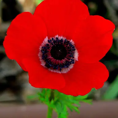 Profile image of 서라더