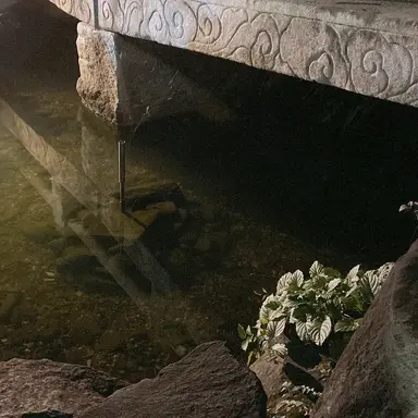 Profile image of 퓨어바닐라