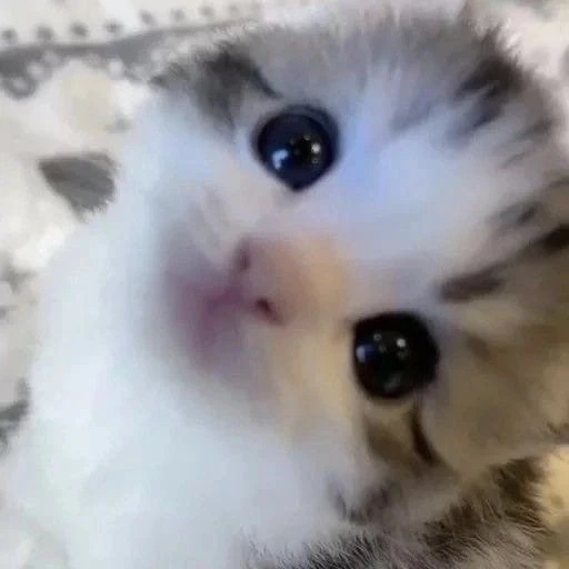 이민호