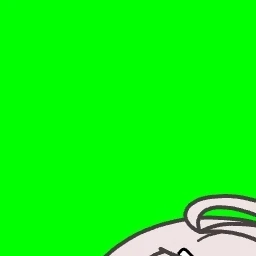 실험용 캐