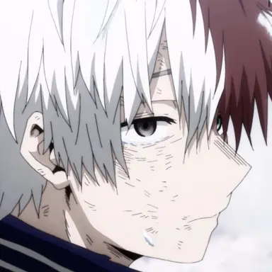 Profile image of T