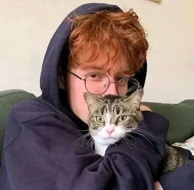 Profile image of Zayn