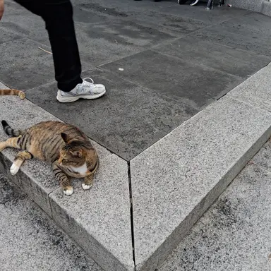 Profile image of 보원