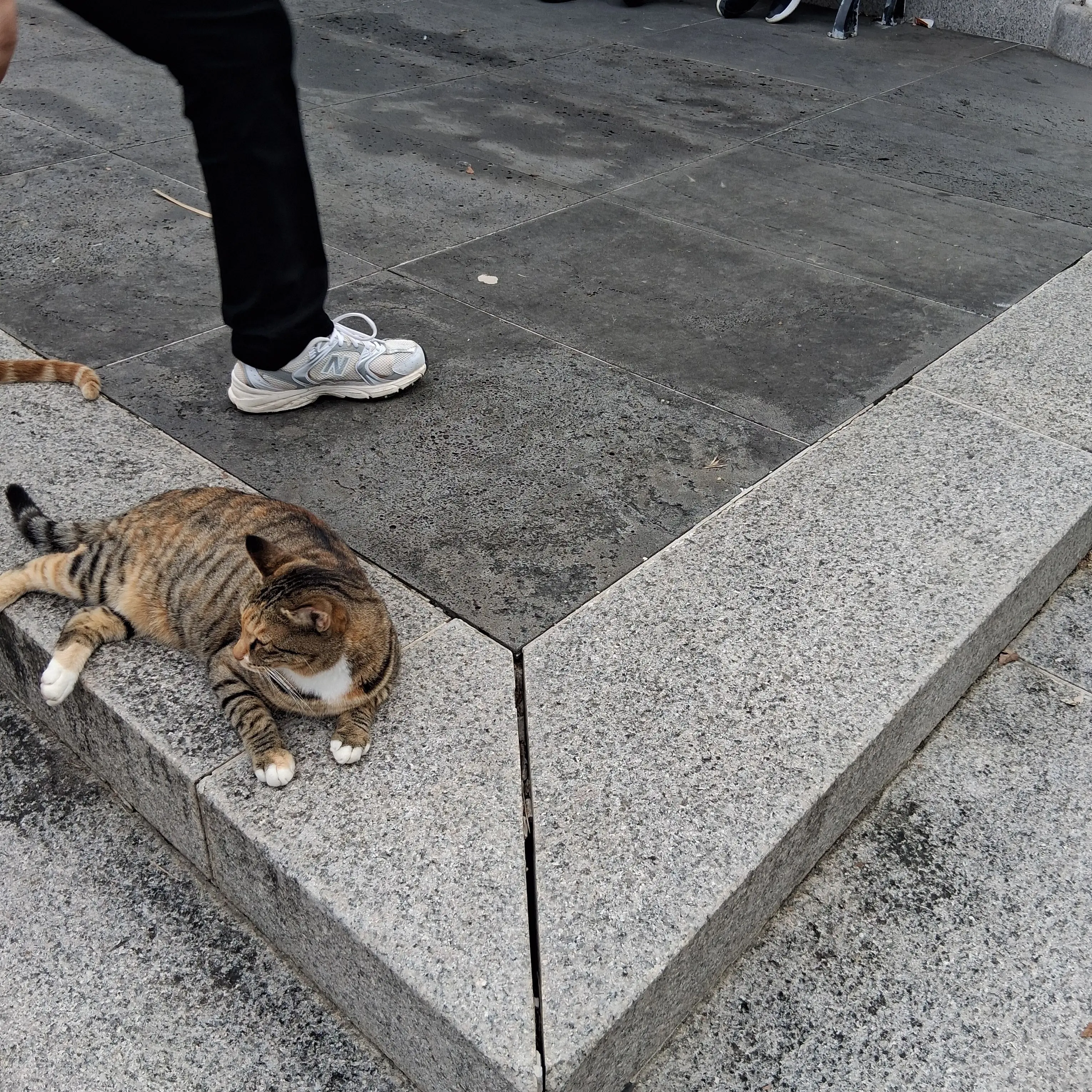 FinalShip9329의 진제초