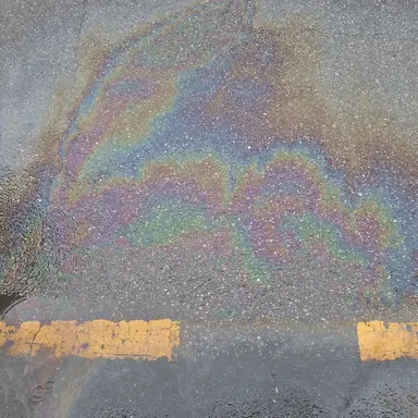 Profile image of 닝닝