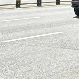 Profile image of 지성훈