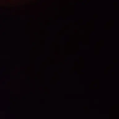 Profile image of a