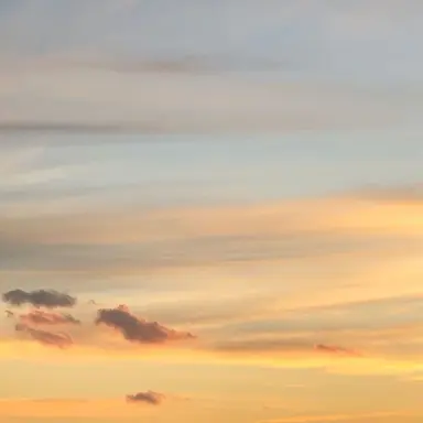 Profile image of ハル