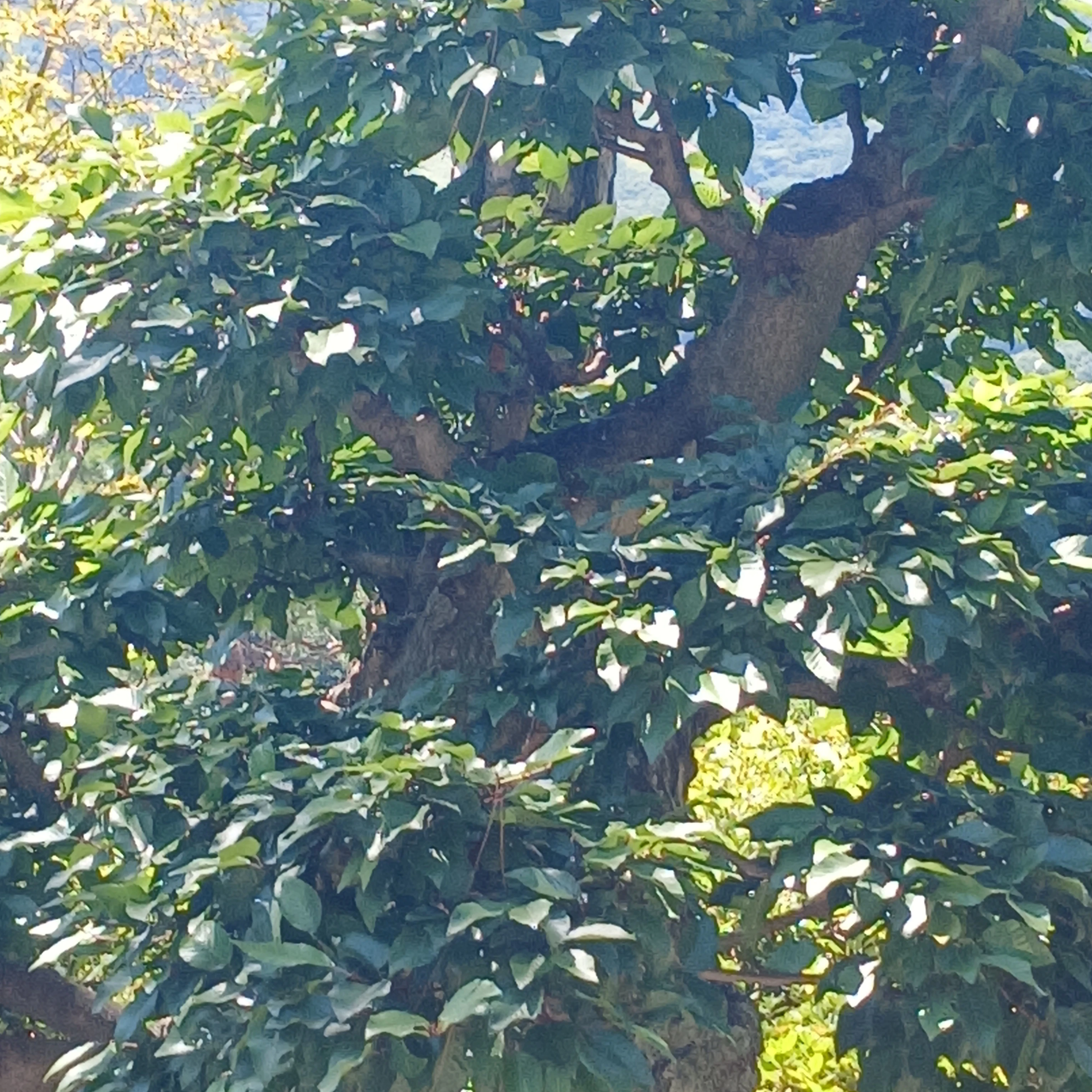 염예찬