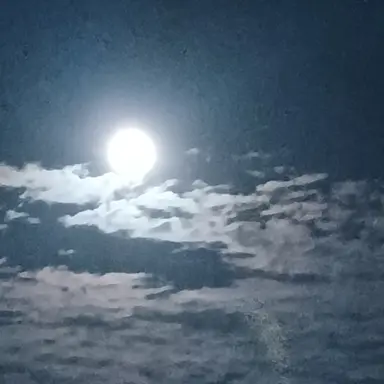 Profile image of 김태조