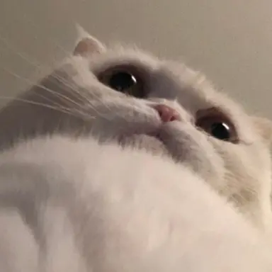 Profile image of 케데헌