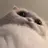 케데헌