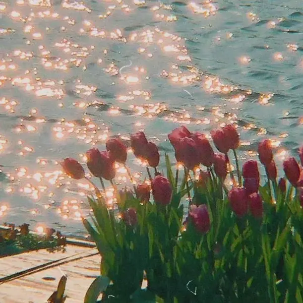sky_9의 강리안
