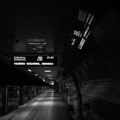 Profile image of 東 言