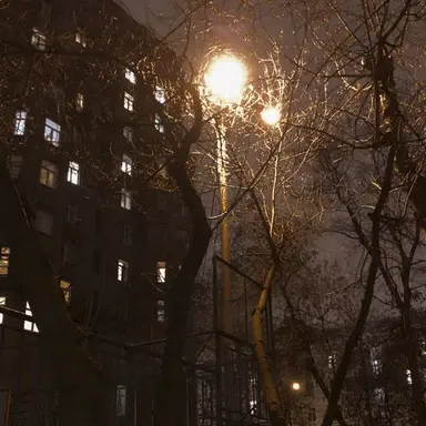 Profile image of 乾 晃樹