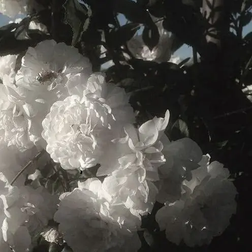 bird0의 백한결