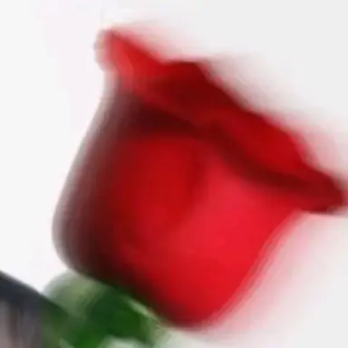 Profile image of 박지훈