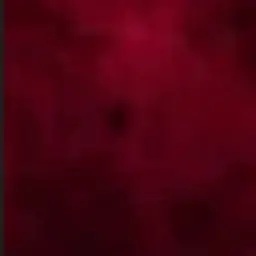 Ohynooow의 誰も信じない