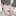 이 지 환