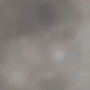 Profile image of 쿠무