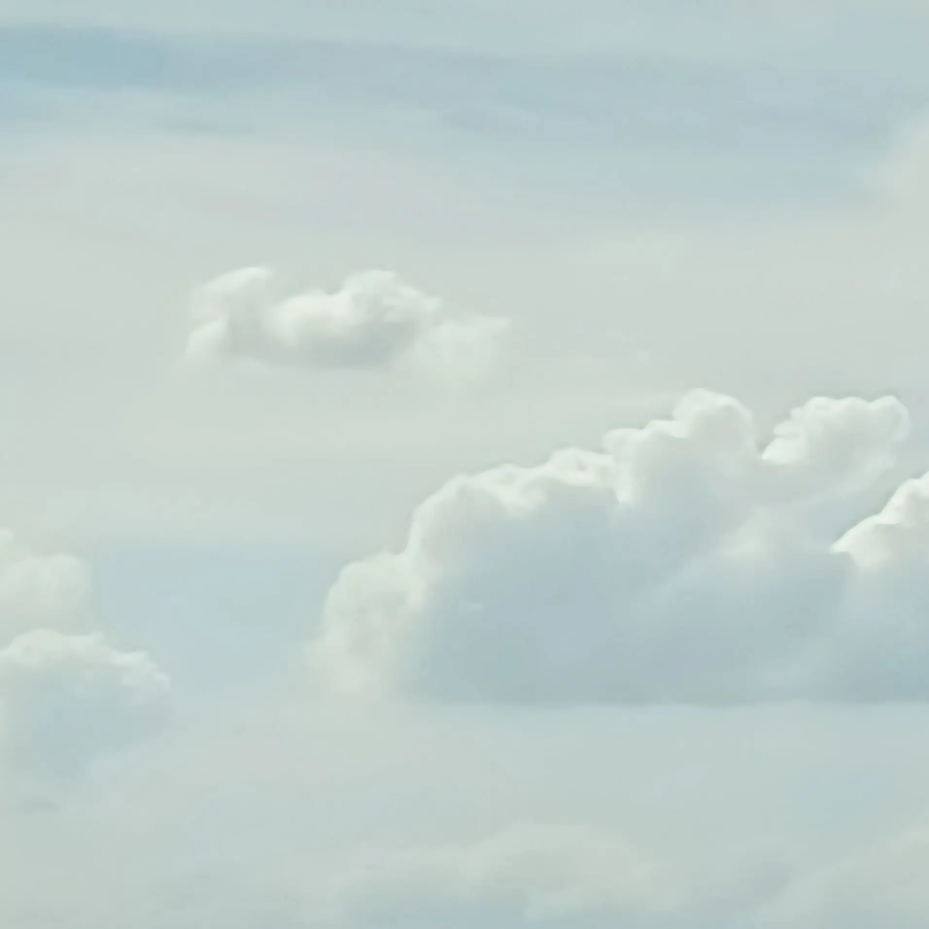 SleepyDhole1099의 학교 5인방과 친해지깅