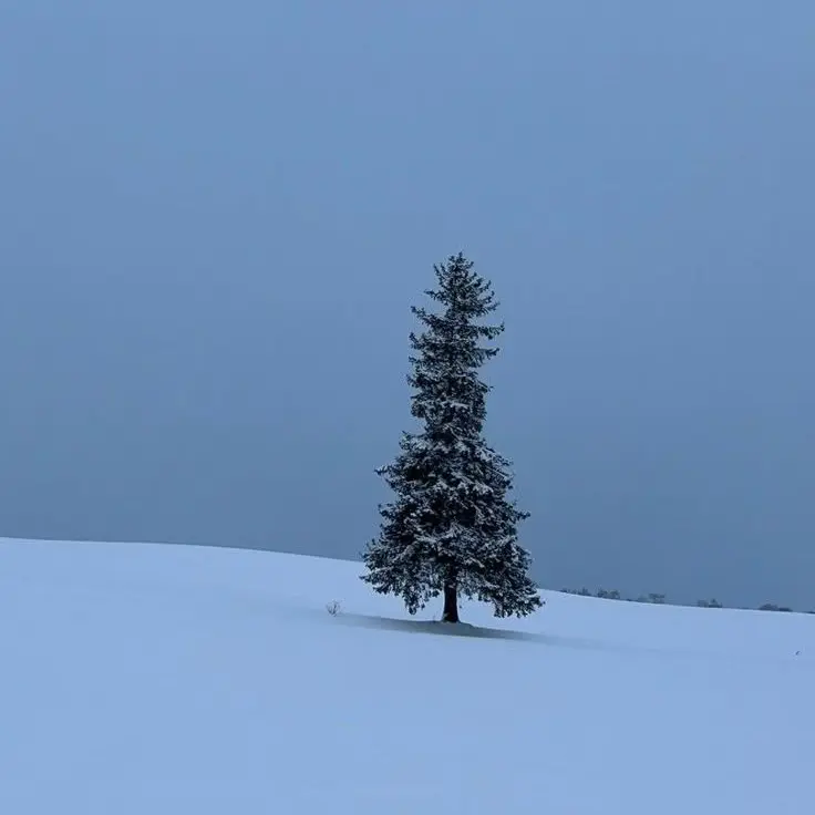 APPLE.APPLE_2nd의 김각별