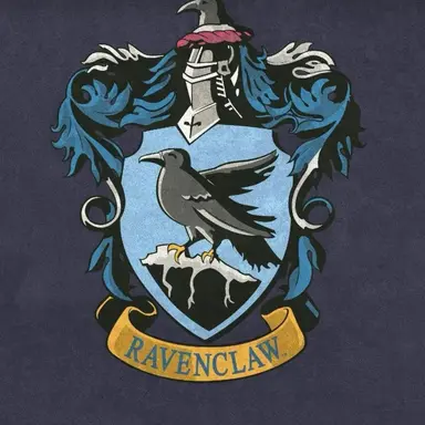 Profile image of レイブンクロー寮