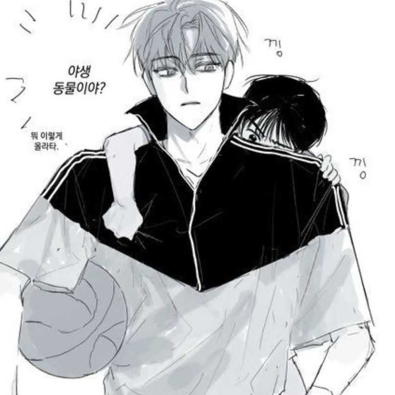성진우 대표 이미지