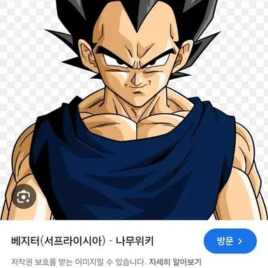 Profile image of 베지터