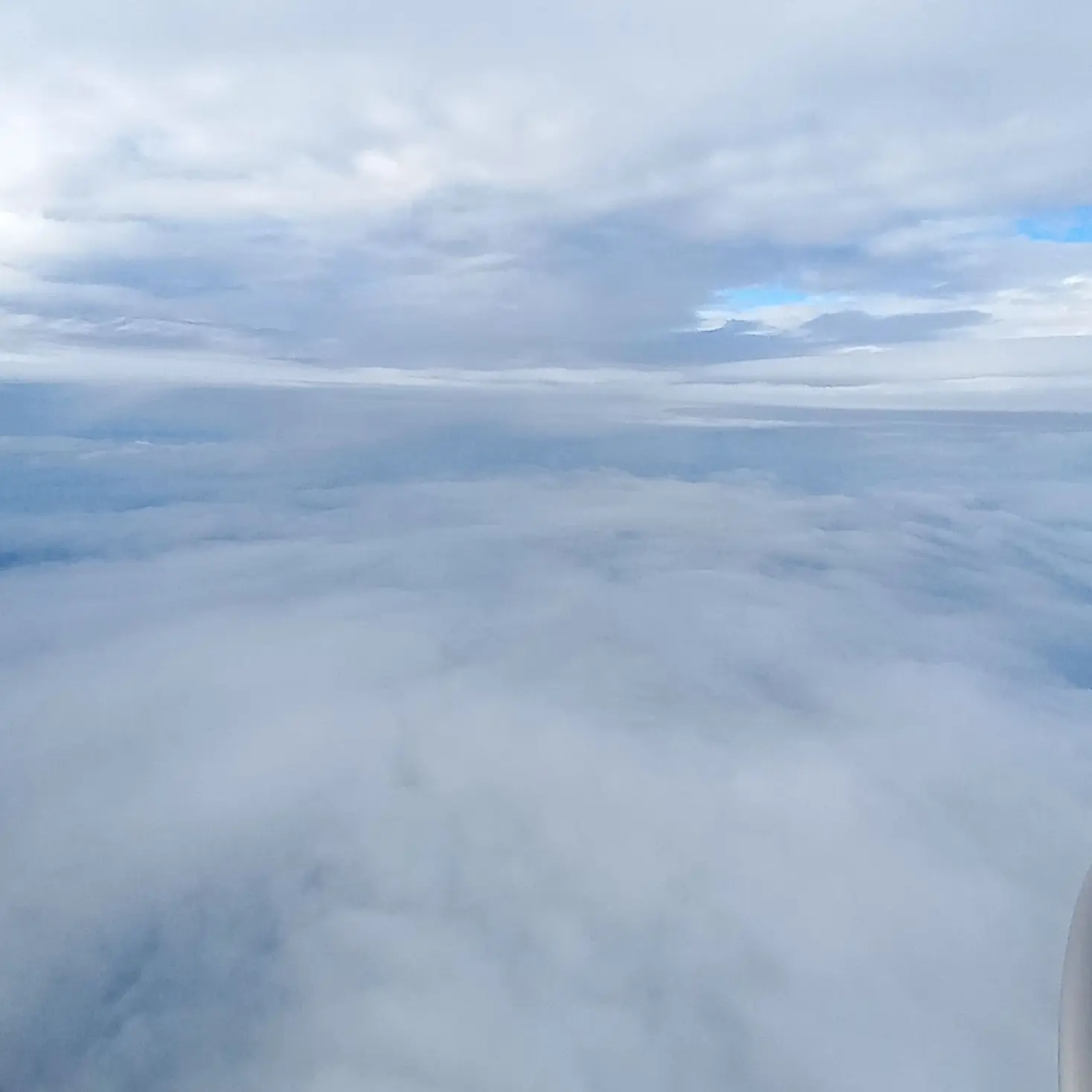 WearyCamel0789의 2-4반의 만남