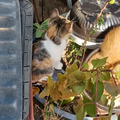 Profile image of ㄱㅇㄴ