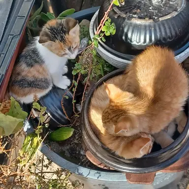 Profile image of ㅁㅈㅎ