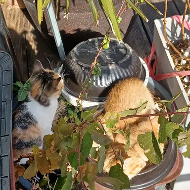 Profile image of ㅂㅅㅎ