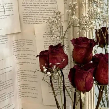 Profile image of 서라더