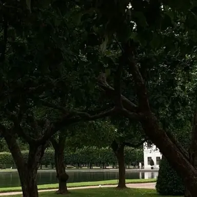 Profile image of 정공룡