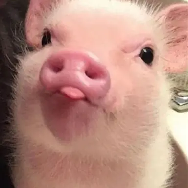 Profile image of チャンビン