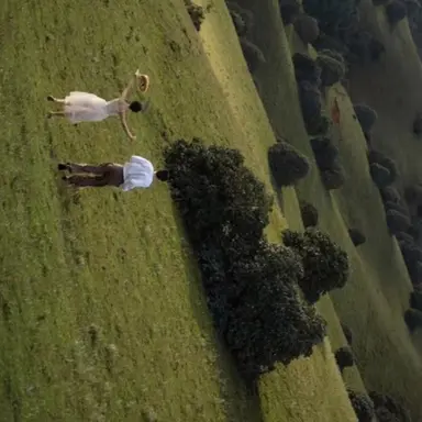 Profile image of 릴리