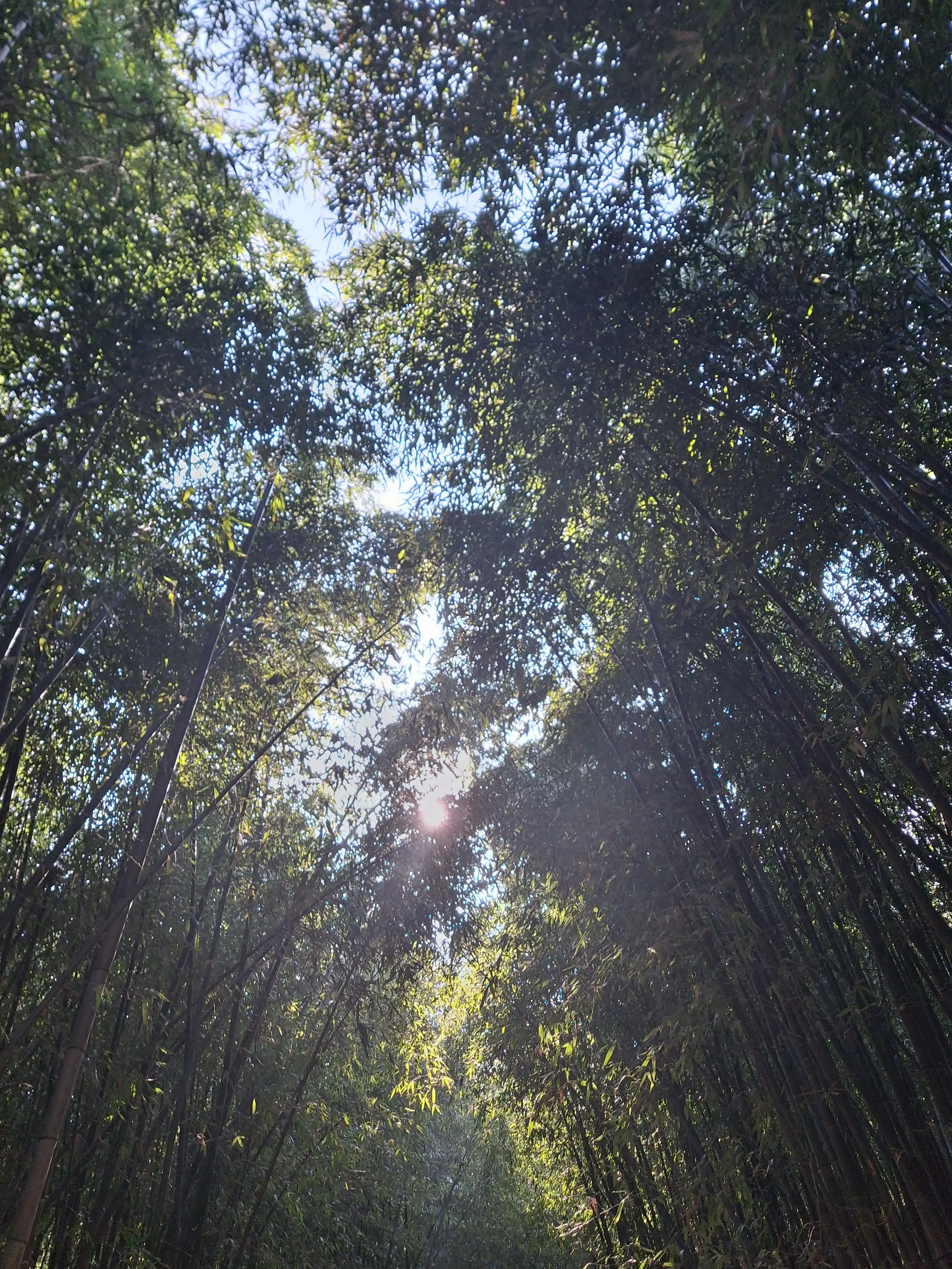 PettyPhoto6385의 6명