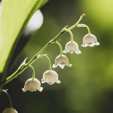 Profile image of 공경사