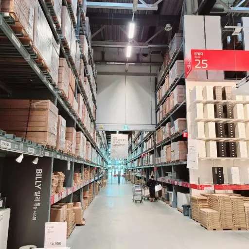 BrassyLung1734의 SCP-3008
