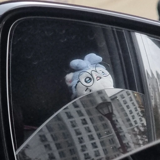 김봄유