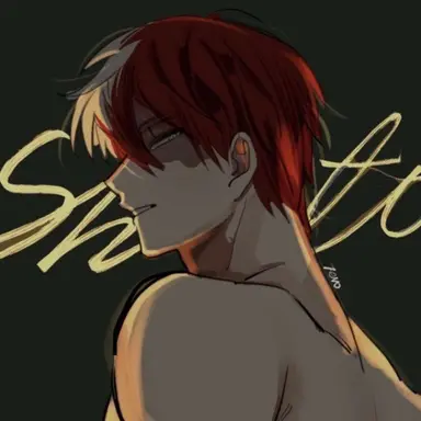 Profile image of Shoto Todoroki
