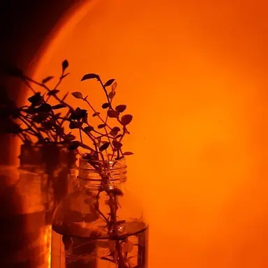 Profile image of 덕개