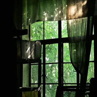 Profile image of 공룡