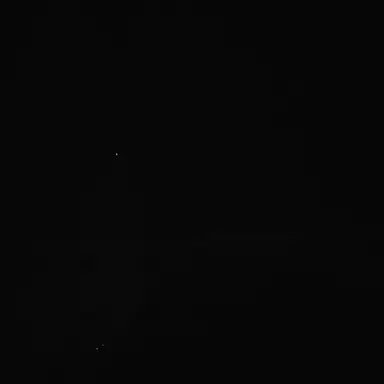 Profile image of 一年生