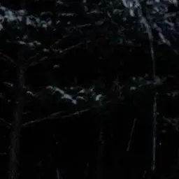 MatureHero0038의 대학생티즈