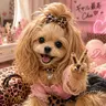 Profile image of 花犬