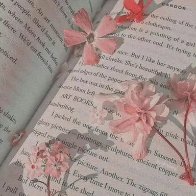 Profile image of 채밤비